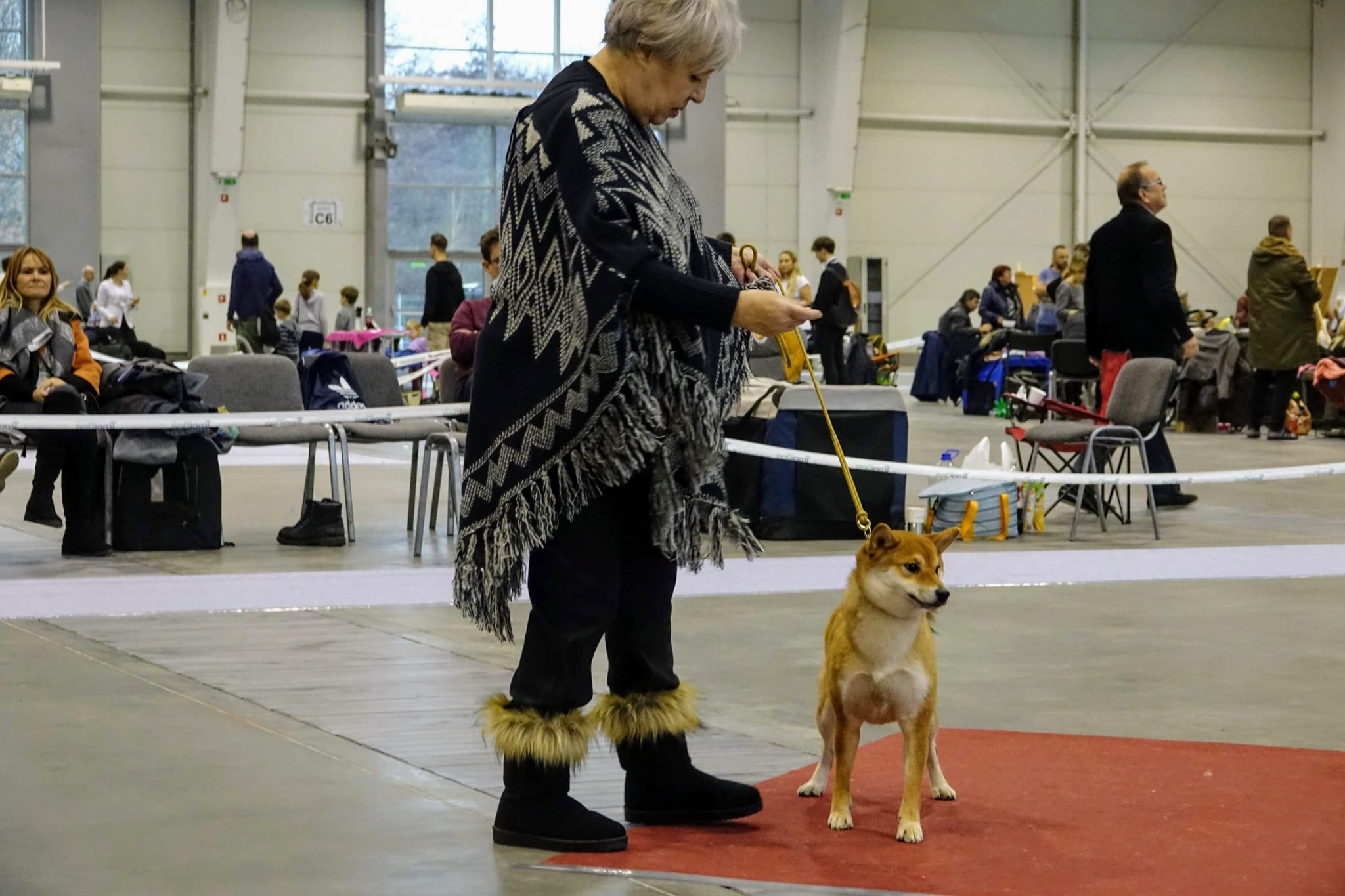 MatagiinuPL Hodowla Psów Rasy Shiba Inu
