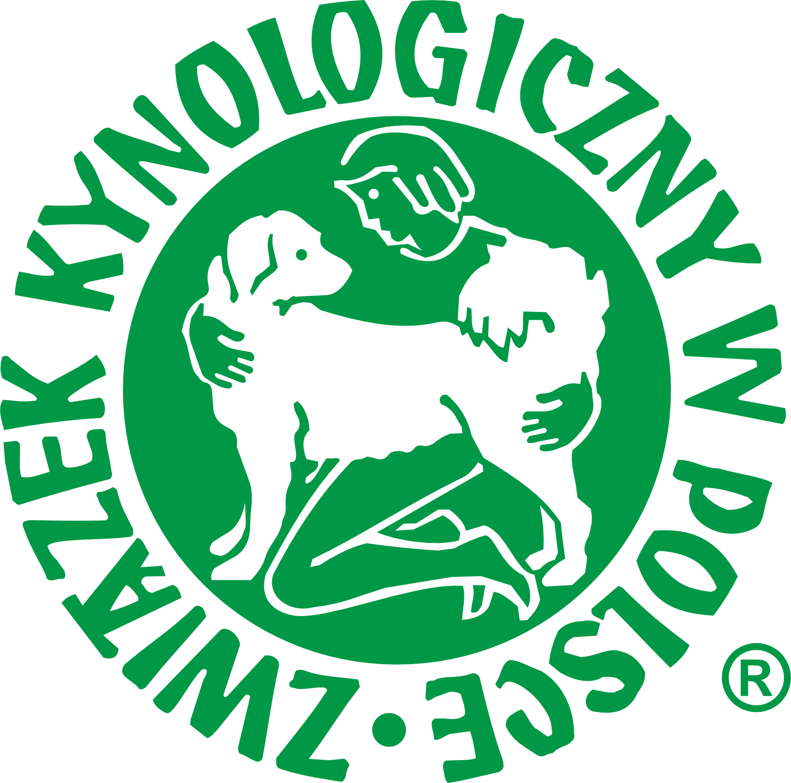 ZKwP-nasze standardy-Matagiinu PL Hodowla Psów Rasy Shiba Inu